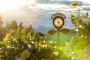 Frisco clock with greenery around it and mountain in background